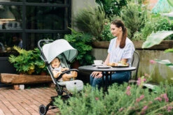 ABC Design Sportwagen Ping, Deer 15 ABC Design Sportwagen Ping, Deer -Babyprodukte abc design sportwagen ping deer 3