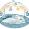 CHICCO Spieldecke Farbspiel Gym, Blue -Babyprodukte chicco spieldecke farbspiel gym blue