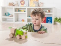 EverEarth Nachzieh-Hund -Babyprodukte everearth nachzieh hund 2