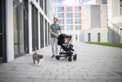 HAUCK Buggy Rapid 4, Caviar/silver -Babyprodukte hauck buggy rapid 4 caviar silver 3