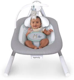 Ingenuity Tragbare Schaukel AnyWay Sway PowerAdapt Dual-Direction, Spruce -Babyprodukte ingenuity tragbare schaukel anyway sway poweradapt dual direction spruce 2