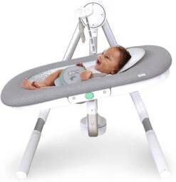 Ingenuity Tragbare Schaukel AnyWay Sway PowerAdapt Dual-Direction, Spruce -Babyprodukte ingenuity tragbare schaukel anyway sway poweradapt dual direction spruce 4