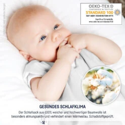 9312155512 Babyschlafsack Terra, 50/56, Grau TOG 2,5 -Babyprodukte julius zollner 9312155512 babyschlafsack terra 50 56 grau tog 2 5 3
