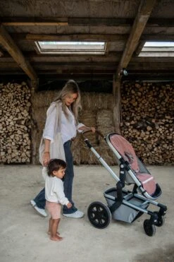 Buggy Einlage Dijon Daily In Altes Rosa 11 Buggy Einlage Dijon Daily In Altes Rosa -Babyprodukte koeka buggy einlage dijon daily in altes rosa 3