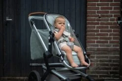 Buggy Einlage Dijon Daily In Grün 9 Buggy Einlage Dijon Daily In Grün -Babyprodukte koeka buggy einlage dijon daily in grun 2