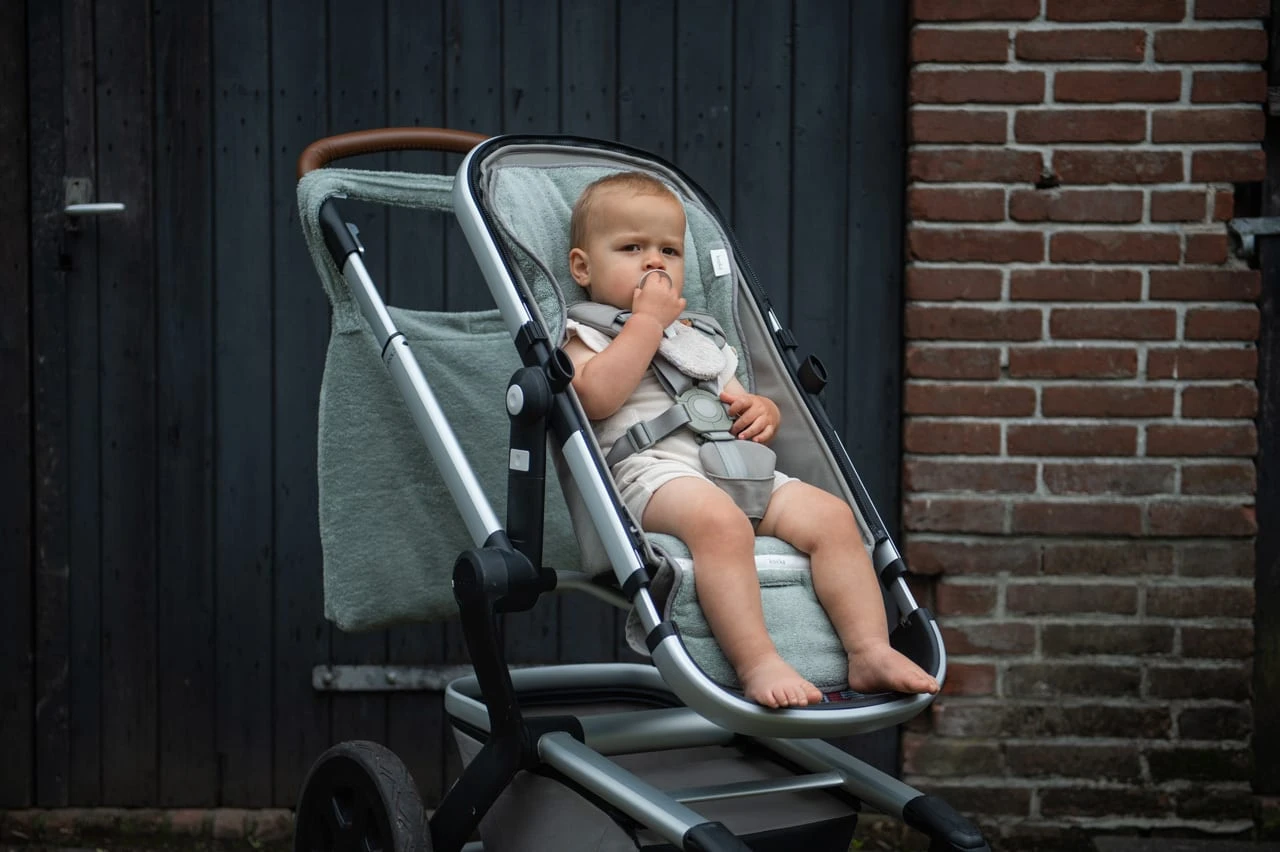 Buggy Einlage Dijon Daily In Grün 5 Buggy Einlage Dijon Daily In Grün – Bild 3