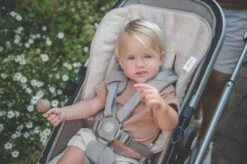 Buggy Einlage Dijon Daily In Sand 15 Buggy Einlage Dijon Daily In Sand -Babyprodukte koeka buggy einlage dijon daily in sand 3