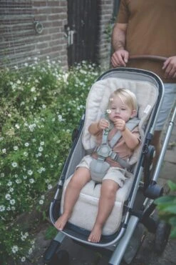 Buggy Einlage Dijon Daily In Sand 16 Buggy Einlage Dijon Daily In Sand -Babyprodukte koeka buggy einlage dijon daily in sand 4