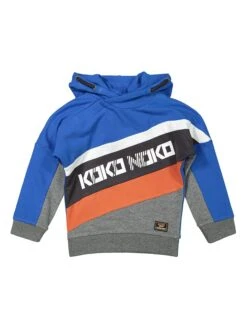 Hoodie In Blau/ Grau