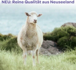 Lansinoh Brustwarzensalbe Lanolin, 40 Ml -Babyprodukte lansinoh brustwarzensalbe lanolin 40 ml 4