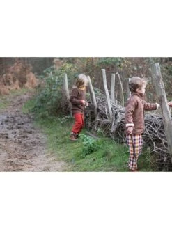 Hose "Autumn Leaves" In Bunt -Babyprodukte little green radicals hose autumn leaves in bunt 1