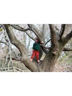 Pullover "From One To Another" In Grün -Babyprodukte little green radicals pullover from one to another in grun 3