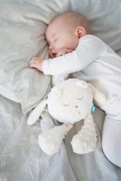 Einschlafhilfe Snoozy Basic, Ecru -Babyprodukte myhummy einschlafhilfe snoozy basic ecru 6