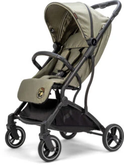 Sportwagen "Boogy" In Ecology