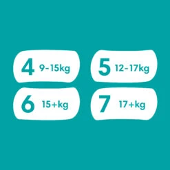 Pampers® Monatsbox Pants, "Premium Protection", Größe 4, 168 Stück, 9kg - 15kg -Babyprodukte pampers monatsbox pants premium protection grosse 4 168 stuck 9kg 15kg 6