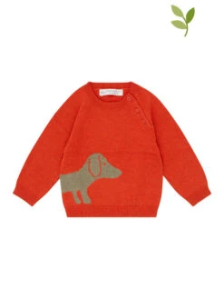 Sense Organics Pullover In Rot