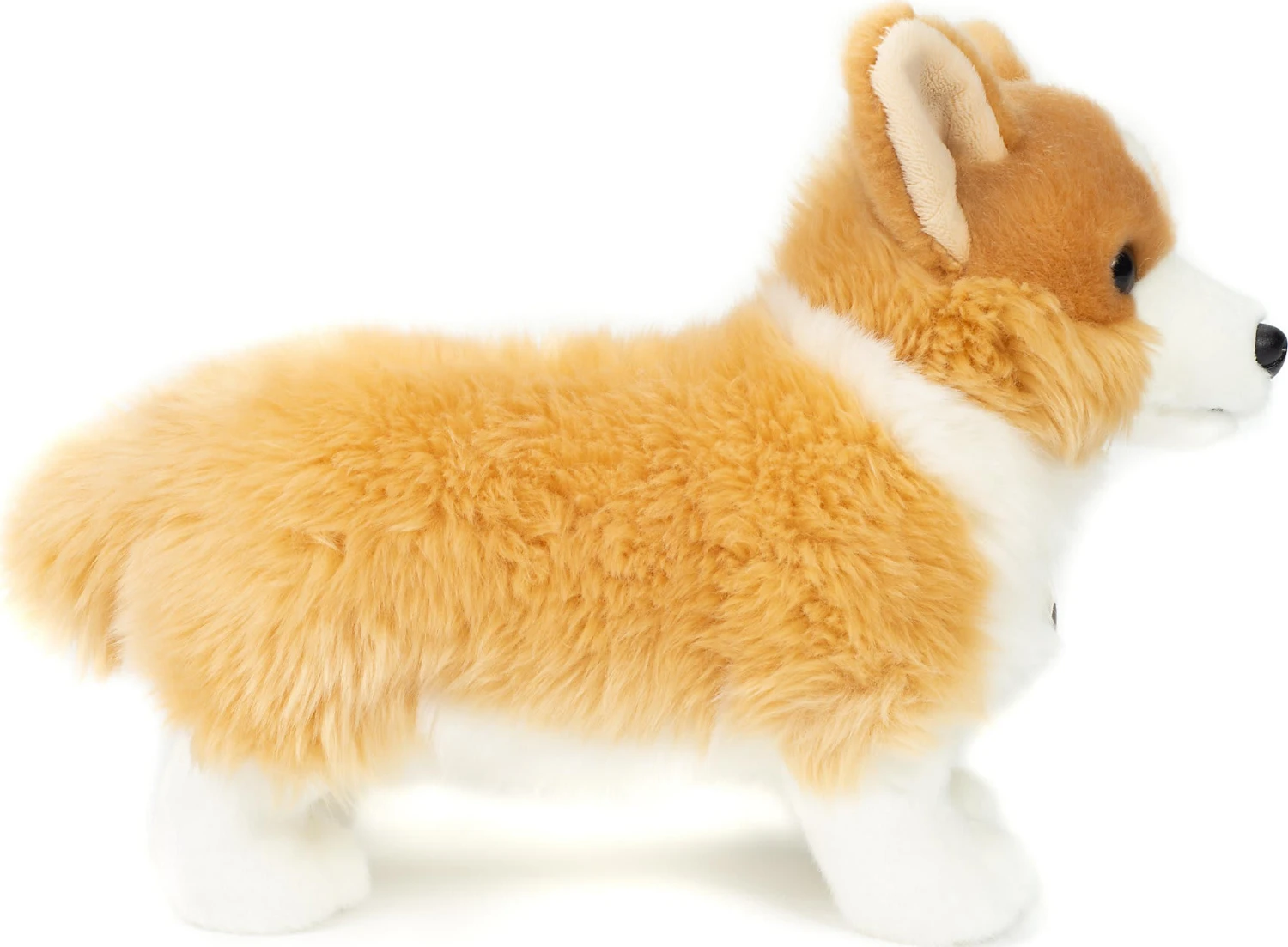 Corgi Stehend 30 Cm 4 Corgi Stehend 30 Cm – Bild 2
