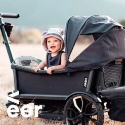 Bollerwagen Cruiser In Grau -Babyprodukte veer bollerwagen cruiser in grau 8