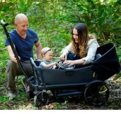 Bollerwagen Cruiser In Grau -Babyprodukte veer bollerwagen cruiser in grau 9