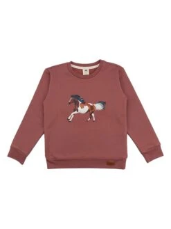 Walkiddy Sweatshirt In Braun