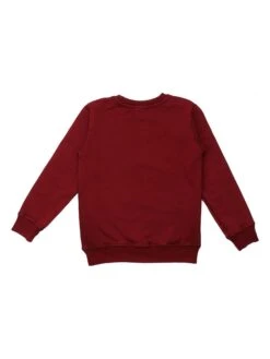 Walkiddy Sweatshirt In Rot -Babyprodukte walkiddy sweatshirt in rot 1