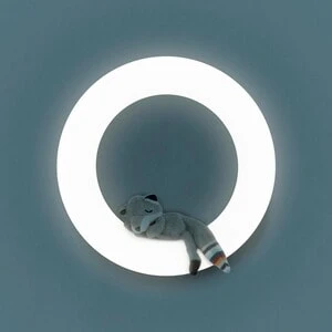 ZAZU Wandlicht Rex Kabellos In Weiß 11 ZAZU Wandlicht Rex Kabellos In Weiß – Bild 9